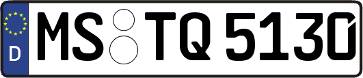 MS-TQ5130