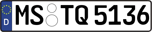 MS-TQ5136