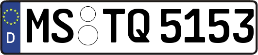 MS-TQ5153