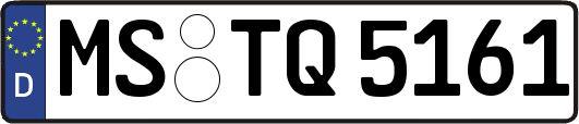 MS-TQ5161