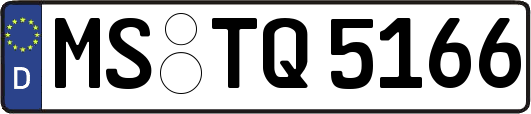 MS-TQ5166