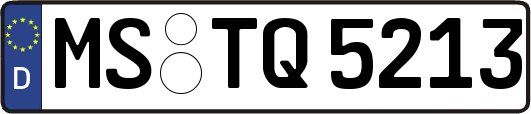 MS-TQ5213