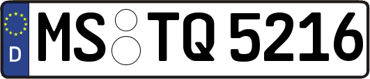 MS-TQ5216