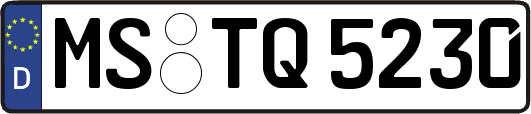 MS-TQ5230