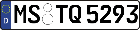 MS-TQ5293