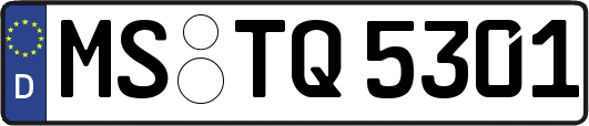 MS-TQ5301