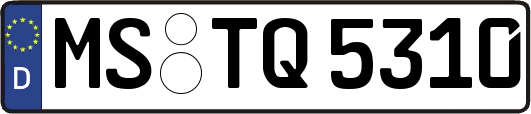 MS-TQ5310