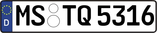 MS-TQ5316