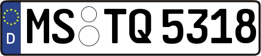 MS-TQ5318