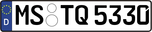 MS-TQ5330