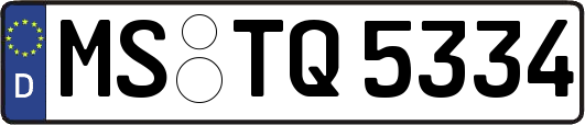 MS-TQ5334