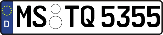 MS-TQ5355