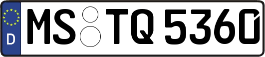 MS-TQ5360
