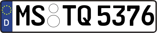 MS-TQ5376