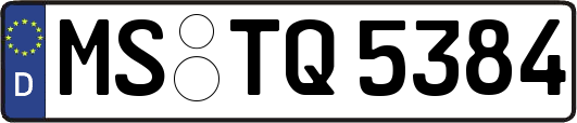 MS-TQ5384