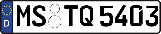MS-TQ5403