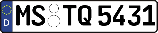 MS-TQ5431