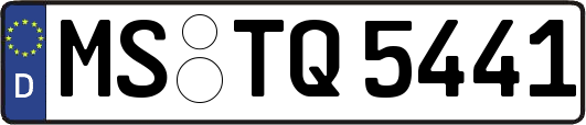 MS-TQ5441
