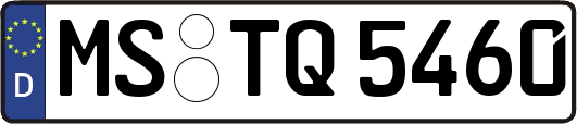 MS-TQ5460