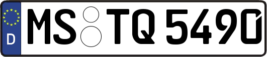 MS-TQ5490