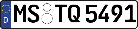 MS-TQ5491