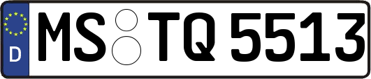 MS-TQ5513