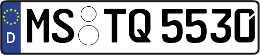 MS-TQ5530