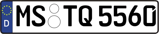 MS-TQ5560