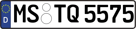 MS-TQ5575