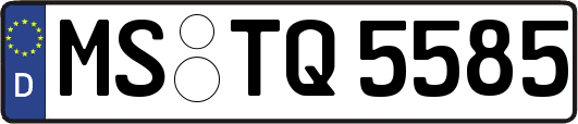 MS-TQ5585
