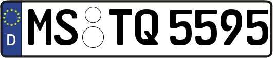 MS-TQ5595