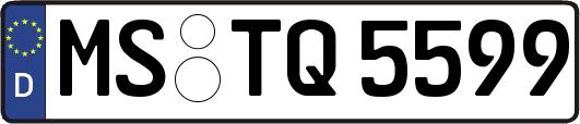 MS-TQ5599