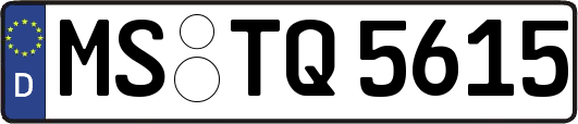 MS-TQ5615