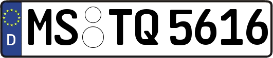MS-TQ5616