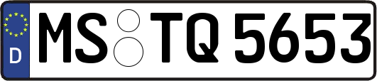 MS-TQ5653