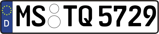 MS-TQ5729
