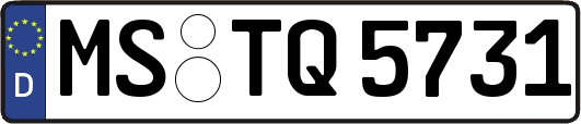 MS-TQ5731