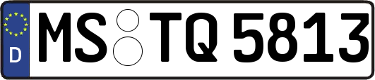 MS-TQ5813