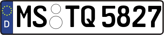 MS-TQ5827