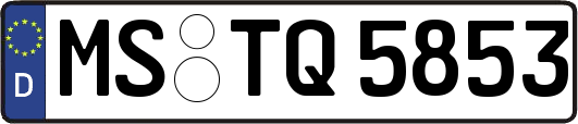 MS-TQ5853