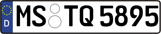 MS-TQ5895