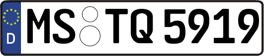 MS-TQ5919
