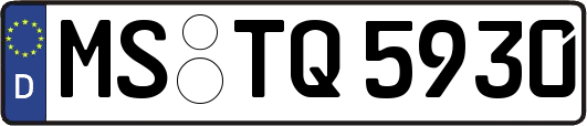 MS-TQ5930