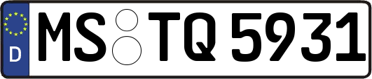 MS-TQ5931