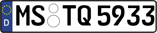 MS-TQ5933