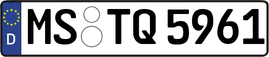 MS-TQ5961