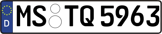 MS-TQ5963