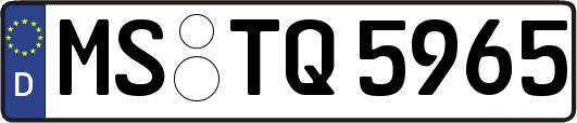 MS-TQ5965