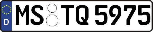 MS-TQ5975