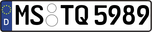 MS-TQ5989